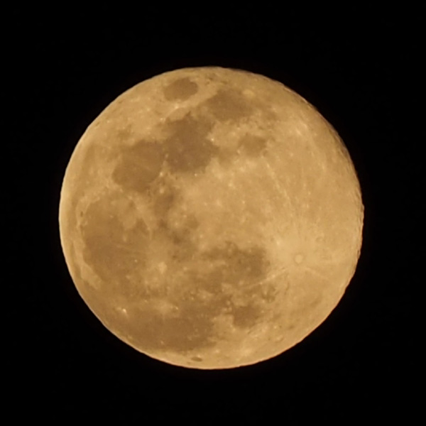 こうりゅう館からみた満月